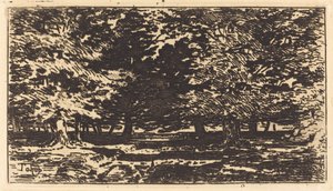 Bosque de Felix Hilaire Buhot