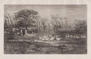 Gansos, 1860-98