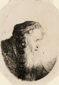 Anciano con barba ondulante de Ferdinand Bol