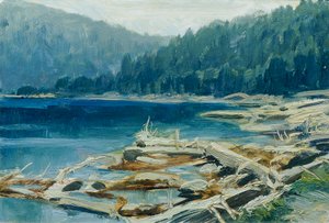 Šumava (del portafolio "16 vistas de paisajes checos 