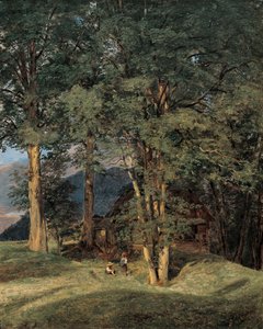 Arces cerca de Ischl de Ferdinand Georg Waldmuller