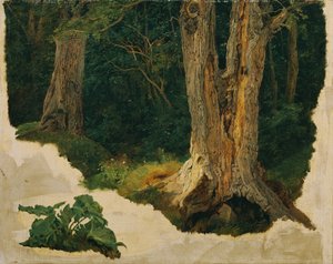 estudio de árboles de Ferdinand Georg Waldmuller