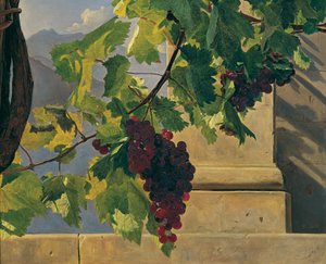 Racimo de uvas