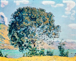 Imagen desconocida de Ferdinand Hodler