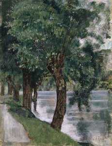 Sauces en el Ródano, c.1885 de Ferdinand Hodler