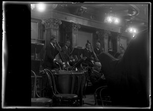 Bajista del miembro vienés de una orquesta filarmónica