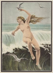 Olas y gaviotas (litografia en color) de Ferdinand Victor Eugene (after) Delacroix