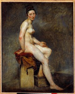 Desnudo sentado dice Miss Rose