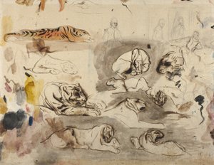 Bocetos de tigres y hombres con trajes del siglo XVI, 1828-29 de Ferdinand Victor Eugene Delacroix