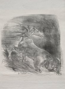 El Caballo Salvaje, o Caballo Asustado Saliendo del Agua, 1828 de Ferdinand Victor Eugene Delacroix