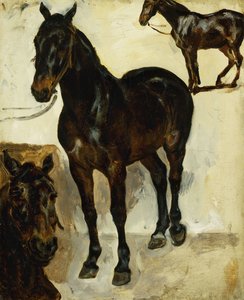 Tres Estudios de Caballos, c.1823