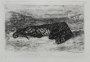 Tigre acostado en el desierto