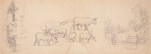 Varios esbozos de vacas y toros