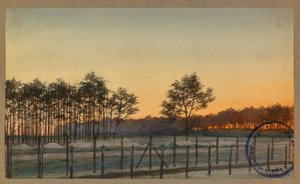 Vista del Bois des Sapins de Fernand Barbier