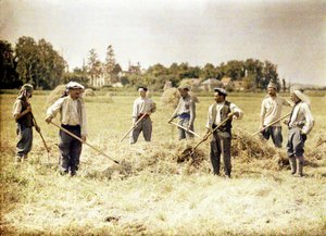 Ocho miembros de la 143ª División de Infantería del Ejército Francés haciendo heno, Soissons, Aisne, Francia, 1917 de Fernand Cuville