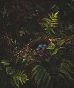 Nido de pájaro y helechos de Fidelia Bridges