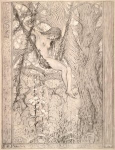 Columpio de lianas de Fidus