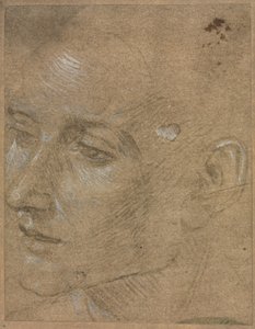 Cabeza de un Joven, segunda mitad del siglo XV