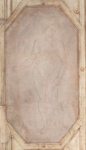 Joven desnudo de pie