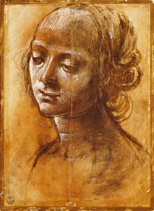 Figura femenina, por Filippino Lippi de Filippino Lippi