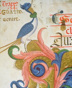 Misal 515 f.28v Pájaro fantástico con cabeza humana (detalle)