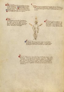 Puntos de mira en el cuerpo de Fiore Furlan dei Liberi da Premariacco