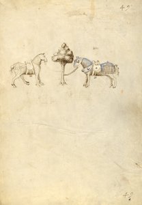 Dos caballos