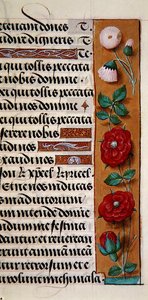 Ms. 1058-1975, f.120r: (detalle) de un borde floral de un Libro de Horas, c.1500 de Flemish School
