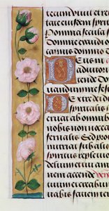 Ms. 1058-1975, f.34v: detalle de un borde floral de un Libro de Horas, c.1500