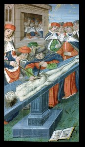 Dissección, de De Medina Fen I. II, de Avicena (980-1037) de Flemish School