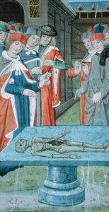 Ms Hunter 9 f.12v Disección, de 