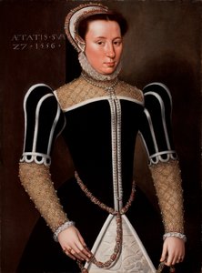 Retrato de una mujer, 1556 de Flemish School