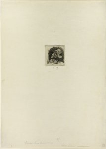Jardinero flamenco de Félicien Rops