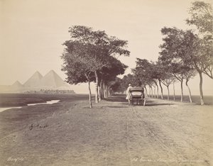 Caire. Allee de Pyramides de Félix Bonfils