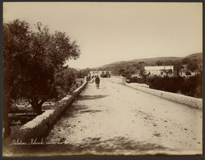Palestina - Kolonick, Valle del Terebinto de Félix Bonfils