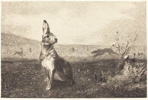 La Liebre