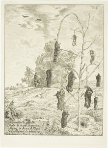 Topos de Félix Henri Bracquemond