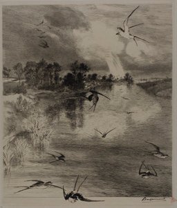 Golondrinas de Félix Henri Bracquemond