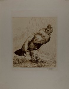 El viejo gallo de Félix Henri Bracquemond