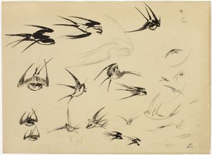 Las golondrinas de Félix Henri Bracquemond