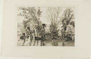 Los sauces de Mottiaux de Félix Henri Bracquemond