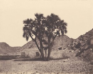 Egipto y Nubia. Sitios y Monumentos...Atlas Fotográfico...Segunda Parte. Nubia