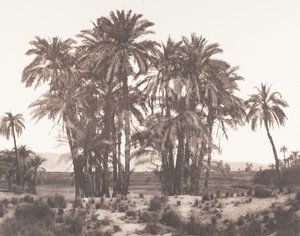 Karnak, Grupo de Dattiers visto desde el punto A, 1851-52, impreso 1853-54 de Félix Teynard