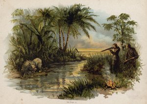 Escena de La familia suiza Robinson: la caza del león (cromolito) de Florence Maplestone