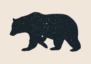 Oso de Florent Bodart