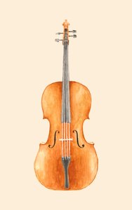 Violoncelo