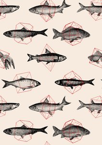 peces en geométricos de Florent Bodart