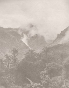 Foggy Jungle 3, 2024 (foto) de Florent Bodart