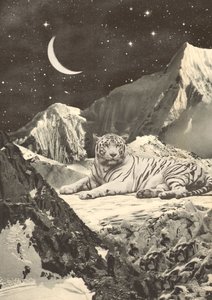 Tigre blanco gigante en las montañas