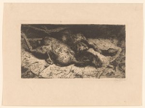 Gallos desplumados (título original) de Floris Verster (signed by artist)